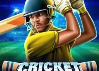 Игра Cricket Heroes